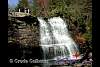 muddy falls.jpg